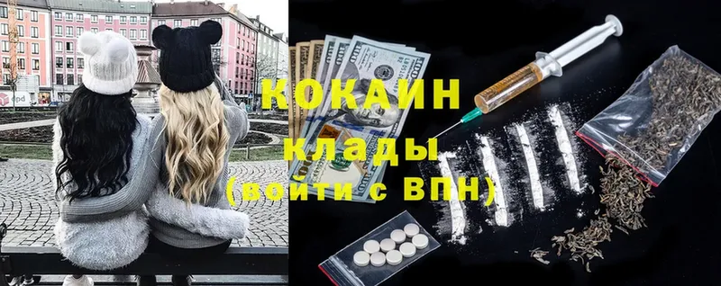 продажа наркотиков  Сортавала  Кокаин FishScale 